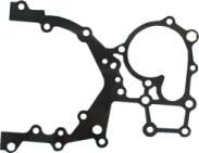 DICHTUNG STEUERGEHäUSE PAYEN JR5065 1