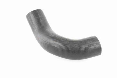 FURTUN EAR SUPRAALIMENTARE ACKOJA A380298 6