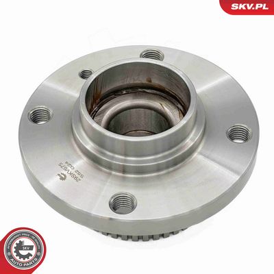 SET RULMENT ROATA ESEN SKV 29SKV675 2