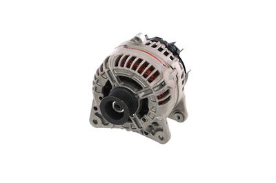 GENERATOR / ALTERNATOR REMANTE 011003000576R 65