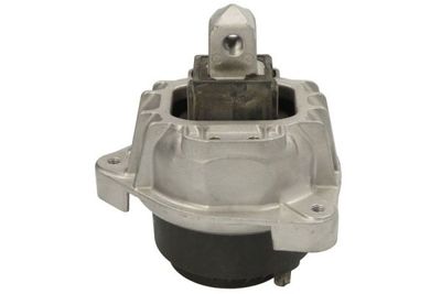окачване, двигател REINHOCH RH11-3167