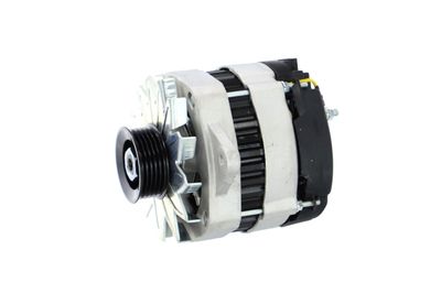 GENERATOR / ALTERNATOR REMANTE 011003000081R 12
