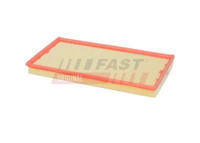 FAST Oro filtras