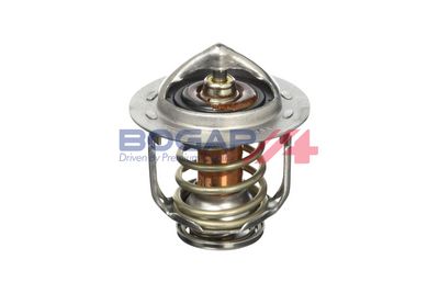 TERMOSTAT LICHID RACIRE