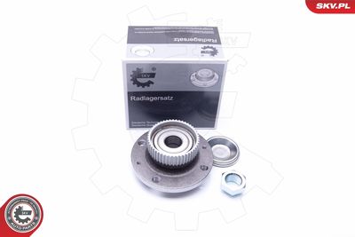 Wheel Bearing Kit 29SKV195