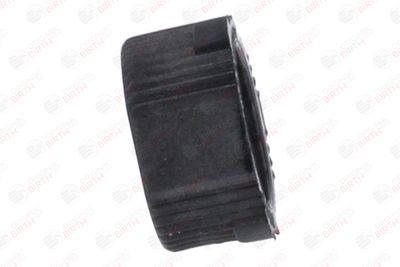 BUCSA ARBORE DE DIRECTIE BIRTH 4339 4