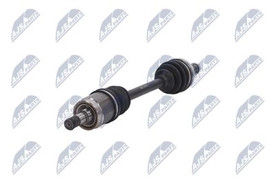 PLANETARA NTY NPWHD031 36