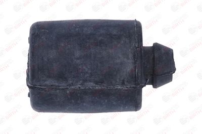 BURDUF CAUCIUC SUPORT MOTOR BIRTH 52660 10