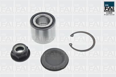 FAI AutoParts Rato guolio komplektas