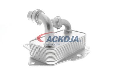 RADIATOR ULEI ULEI MOTOR VEMO V24600051 30
