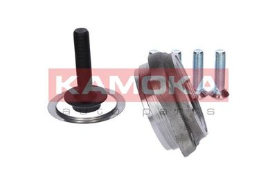 Wheel Bearing Kit 5500130