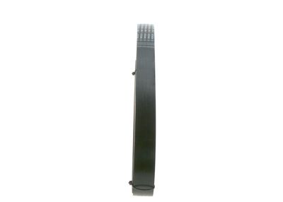 V-Ribbed Belt 1 987 945 505