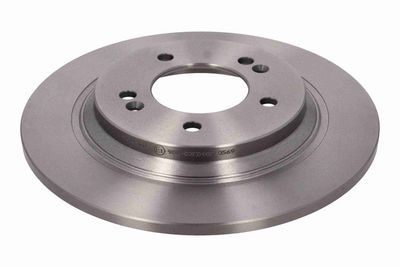 DISC FRANA ACKOJA A5340010 2