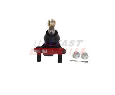 ARTICULATIE PARGHIE COT