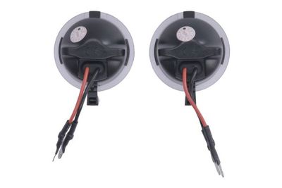(EN) Vehicle ambient lighting lamp Links/Rechts (2 stuks.) past: FORD ECOSPORT, EDGE II, EXPLORER VI, FOCUS IV, KUGA III, MONDEO V, RANGER, RANGER V, RANGER VI, S-MAX CJ  RAM TRUCK RAM III 01.10-
