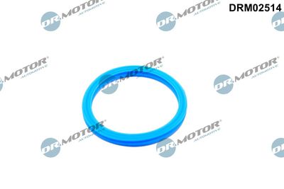 Uszczelka, rurka płynu chłodzącego DR.MOTOR AUTOMOTIVE DRM02514