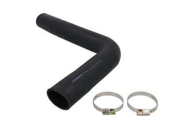 FURTUN EAR SUPRAALIMENTARE