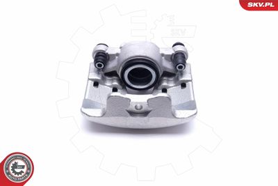 Brake Caliper 44SKV442