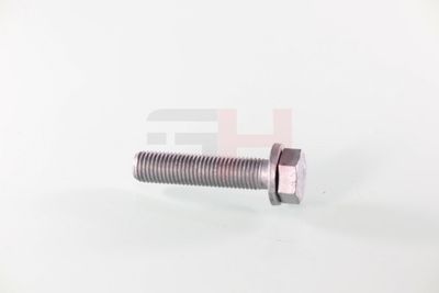 SURUB CAPAT DE AX GH GH391539 29