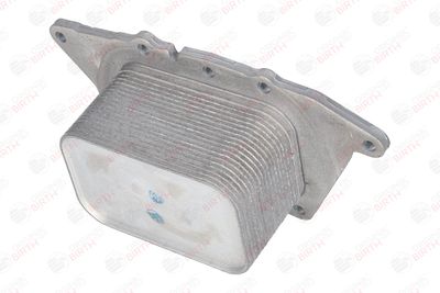 RADIATOR ULEI ULEI MOTOR BIRTH 80737 2