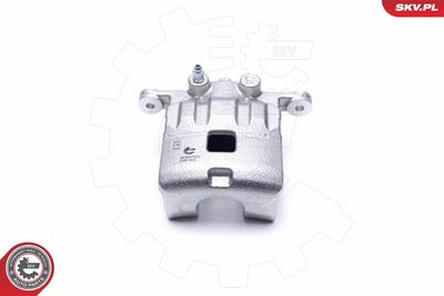 Brake Caliper 56SKV022