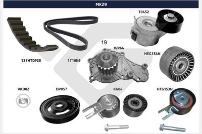 SET CUREA TRANSMISIE CU CANELURI HUTCHINSON MK29