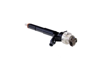 INJECTOR REMANTE 002003000192R 19