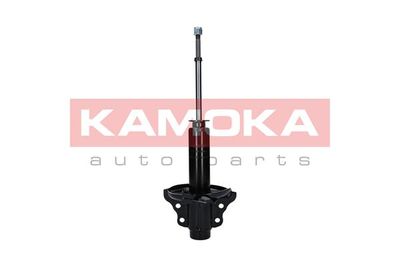 Shock Absorber 2000639