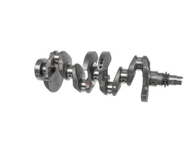 ARBORE COTIT ET ENGINETEAM HK0228 6