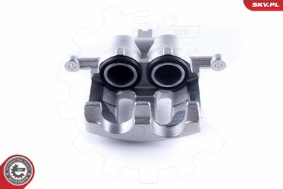 Brake Caliper 50SKV892