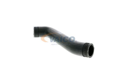 FURTUN EAR SUPRAALIMENTARE VAICO V102843 19