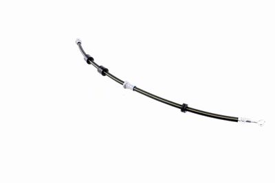 FURTUN FRANA VAICO V220619 6
