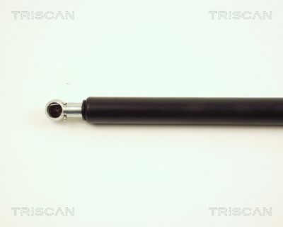 AMORTIZOR PORTBAGAJ KAWE 871025213 1