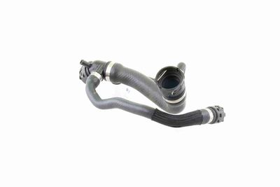 KüHLERSCHLAUCH VAICO V201691 6