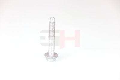 SURUB CAPAT DE AX GH GH392528 55