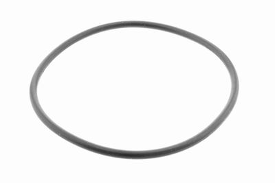 FILTRU COMBUSTIBIL VAICO V420013 1