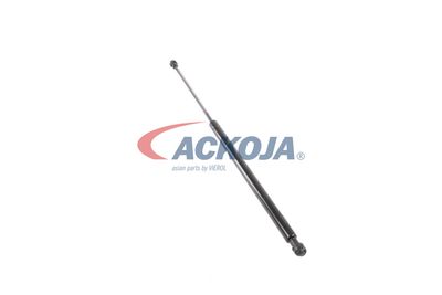 AMORTIZOR PORTBAGAJ ACKOJA A260085 47