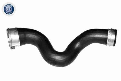 FURTUN EAR SUPRAALIMENTARE