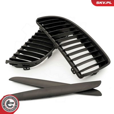 GRILA RADIATOR ESEN SKV 66SKV087 3