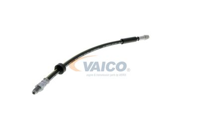 FURTUN FRANA VAICO V461009 52