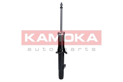 Shock Absorber 2000716