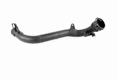 FURTUN EAR SUPRAALIMENTARE ACKOJA A380387 1