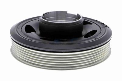 FULIE CUREA ARBORE COTIT VAICO V202416 1