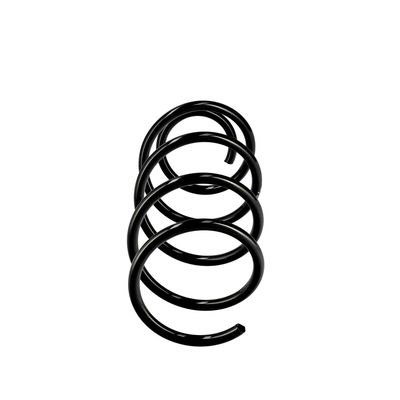 ARC SPIRAL EIBACH R10246 13