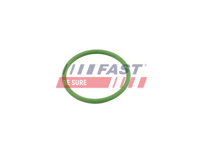 Těsnění, přívod turbíny FAST FT48803