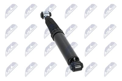 AMORTIZOR NTY ACT031 13