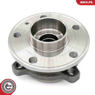 SET RULMENT ROATA ESEN SKV 29SKV306 4