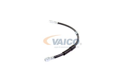 FURTUN FRANA VAICO V104138 18