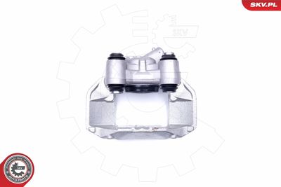 Brake Caliper 42SKV112