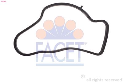 FACET Tarpiklis, termostatas
